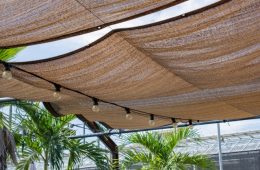 Tia UV Và Những Nguy Cơ Gây Hư Tổn Tóc