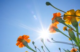 Bí quyết nào làm nên một làn da đẹp?